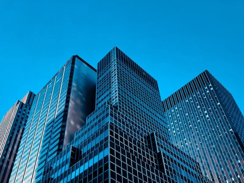 Roseta Services - Portada