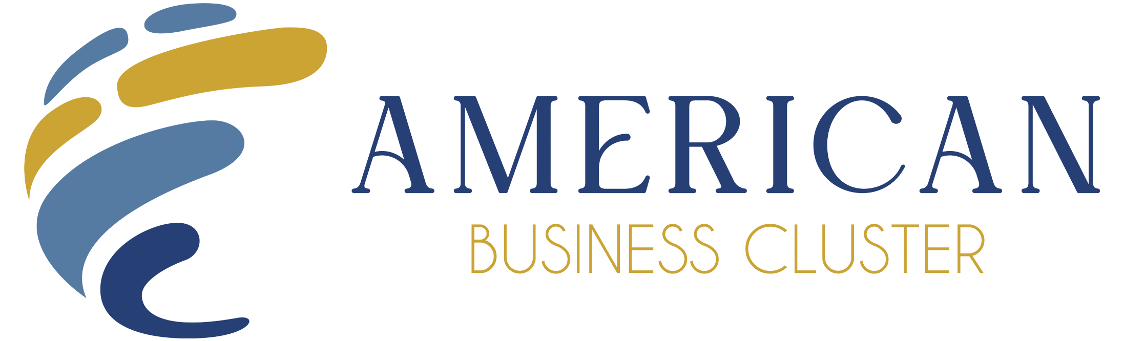 Cluster American Business